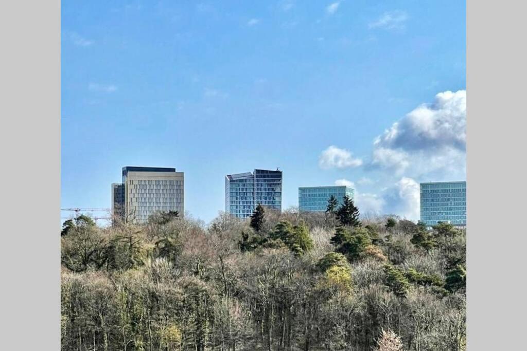 Luxurious Apartment In The Heart Of Kirchberg, Close To City Center *